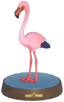 Lesser Flamingo