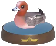 Eurasian Wigeon