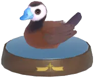 White-Headed Duck