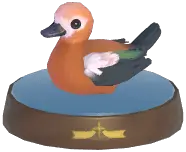 Ruddy Shelduck