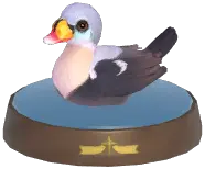 King Eider