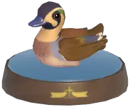 Baikal Teal