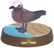 Brown Noddy