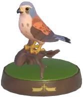 Common Kestrel