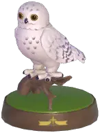 Snowy Owl