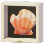 Certified Mark (Plicate Scallop)