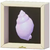 Certified Mark (Smooth Bonnet Shell)