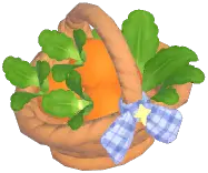 Carrot