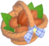 Cocoa Bean
