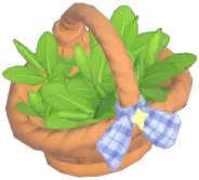 Tea Leaf