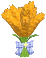Wheat