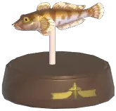 Goby