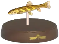 Stone Loach