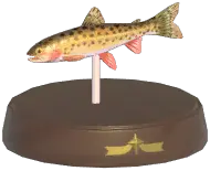 Chum Salmon