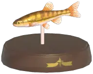 Minnow
