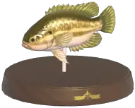 Mud Sunfish