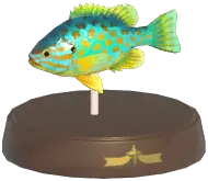 Pumpkinseed