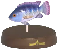 Tilapia