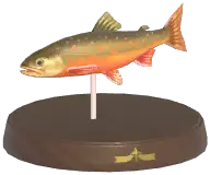 Arctic Char