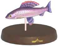 Grayling