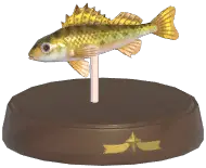 Ruffe