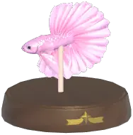 Pink Betta