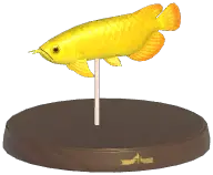 Asian Arowana