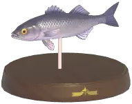 Sea Bass