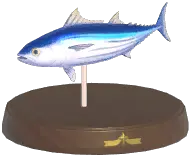 Skipjack Tuna