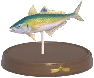 False Scad
