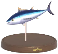 Bluefin Tuna