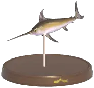 Swordfish