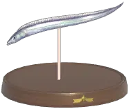 Beltfish