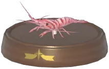 Common Prawn