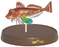 Tub Gurnard