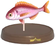 Blackspot Seabream