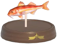Striped Red Mullet