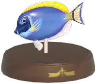 Certified Mark (White-Faced Surgeonfish)