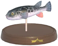 Puffer Fish