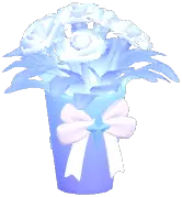 Selene Carnation