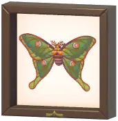 Certified Mark (Spanish Moon Moth)