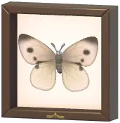 Certified Mark (Cabbage White)