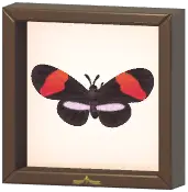 Certified Mark (Postman Butterfly)