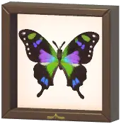Certified Mark (Purple Spotted Swallowtail)