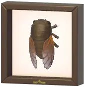 Certified Mark (Cicada)