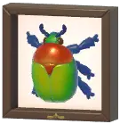 Certified Mark (Elegant Flower Beetle)