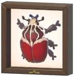 Certified Mark (Rainbow Stag Beetle)
