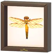 Certified Mark (Four-Spotted Skimmer)