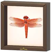 Certified Mark (Flame Skimmer)