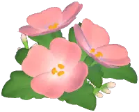 Evening Primrose Chair